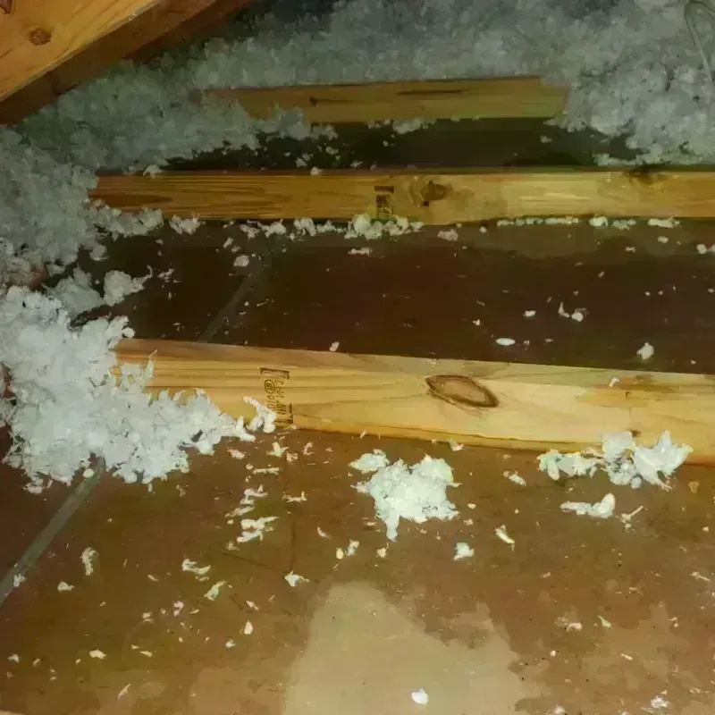 Attic Water Damage in Richland, NY