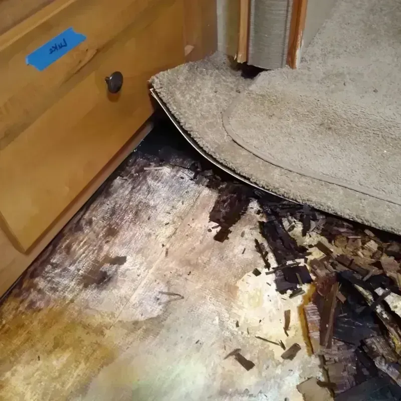 Best Wood Floor Water Damage Service in Richland, NY